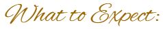 lettering of What to Expect
