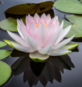 What is mindfulness?